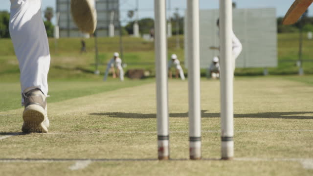 IPL’s Contribution to Cricket Ground Ecosystem Restoration Practices