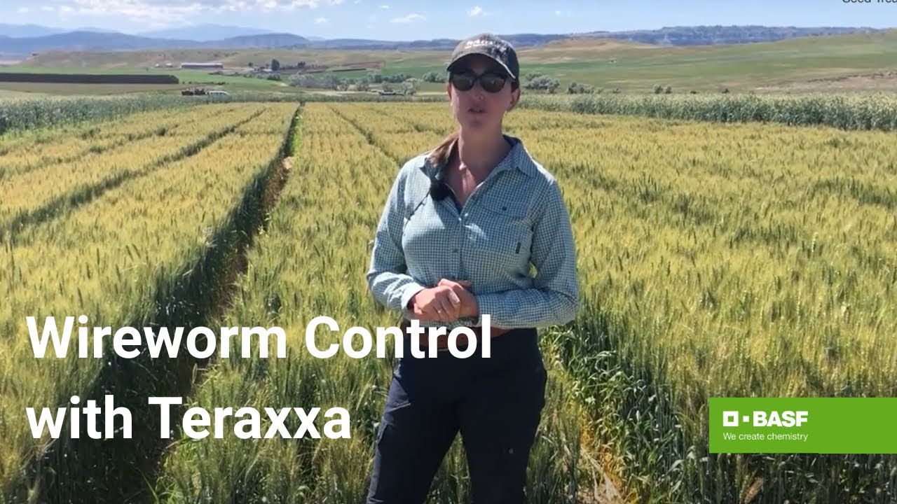 Unlocking the Benefits of Reddy Anna ID: A Comprehensive Guide